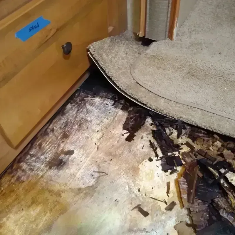 Wood Floor Water Damage in Salisbury, MO